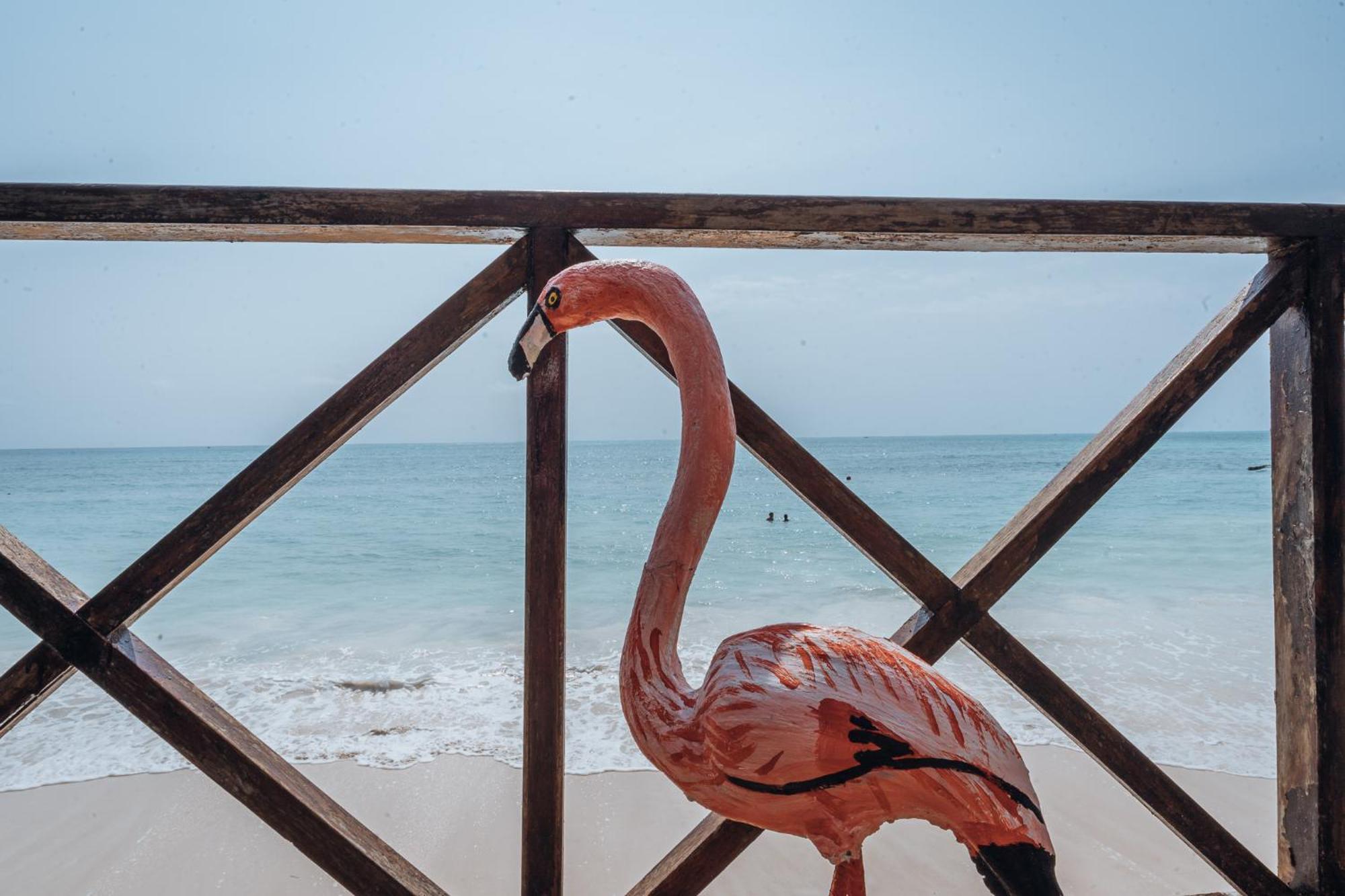 Pili Pili Boho Beach ジャンビアニ エクステリア 写真