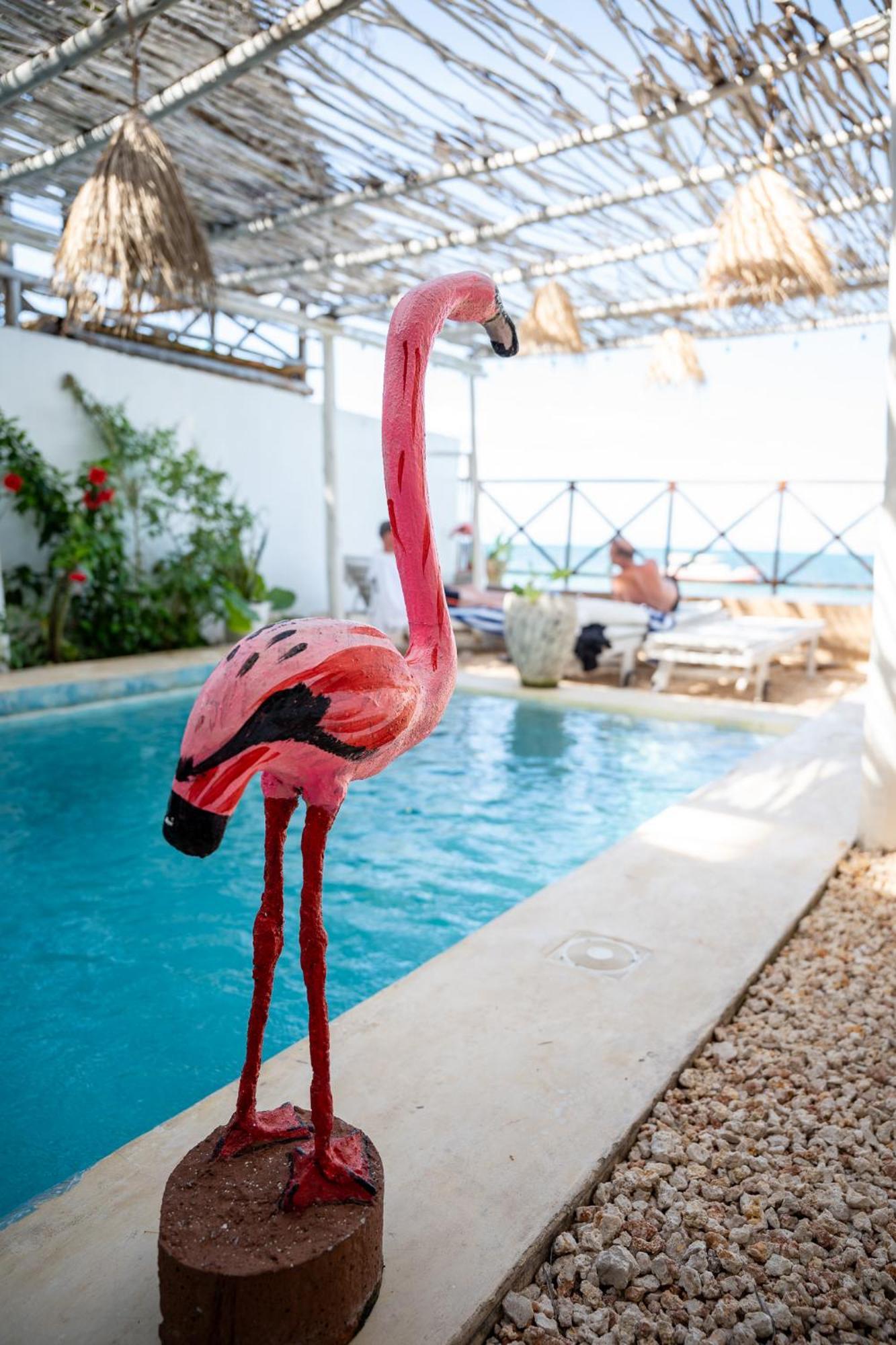 Pili Pili Boho Beach ジャンビアニ エクステリア 写真